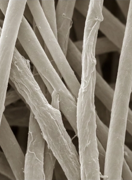 fibres de la soie naturelle